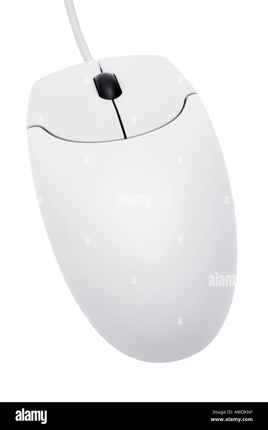 White Computer Mouse Stock Photo Alamy