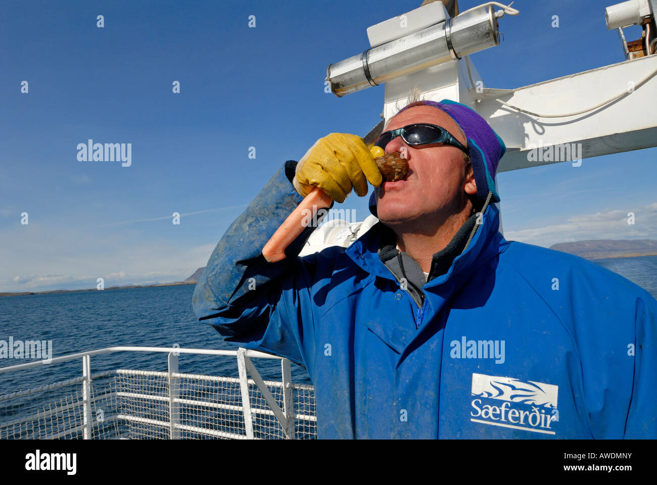 Commercial fisherman with catch aboard his boat Breidafordur Iceland
