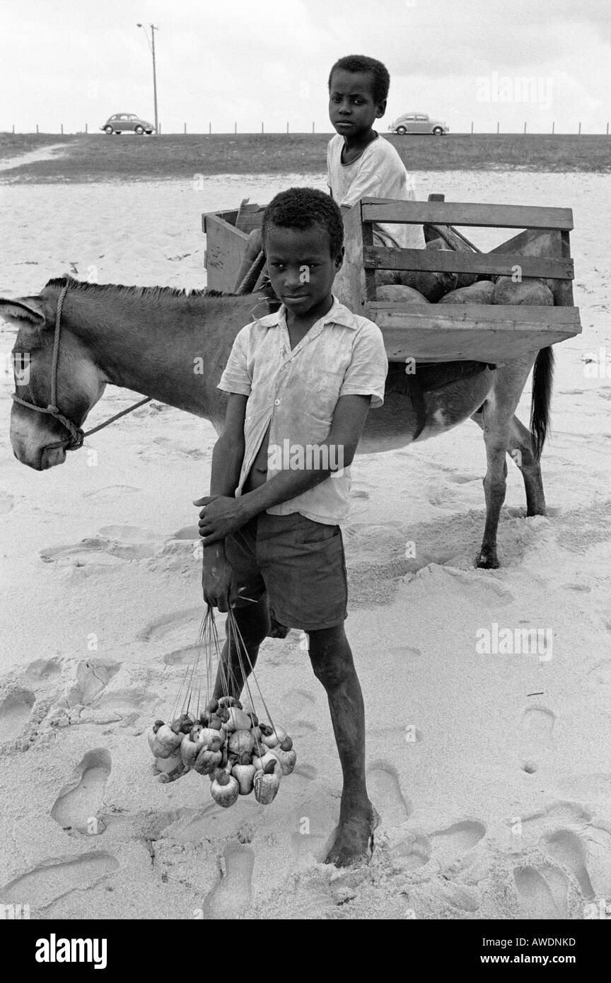 Bahia Brazil two boys selling cashew nuts and coconuts on the beach
