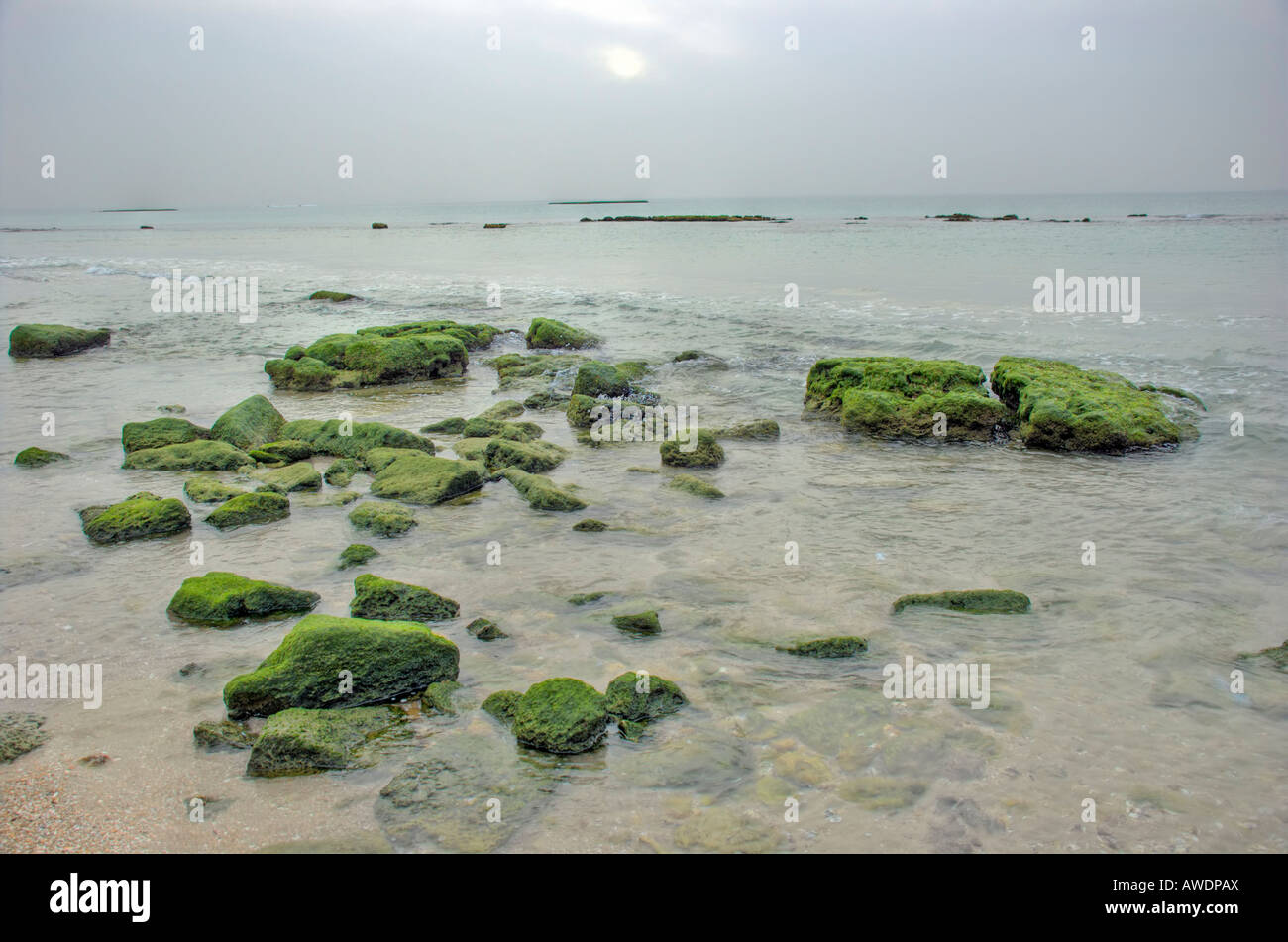 Green rocks - landscape Stock Photo - Alamy