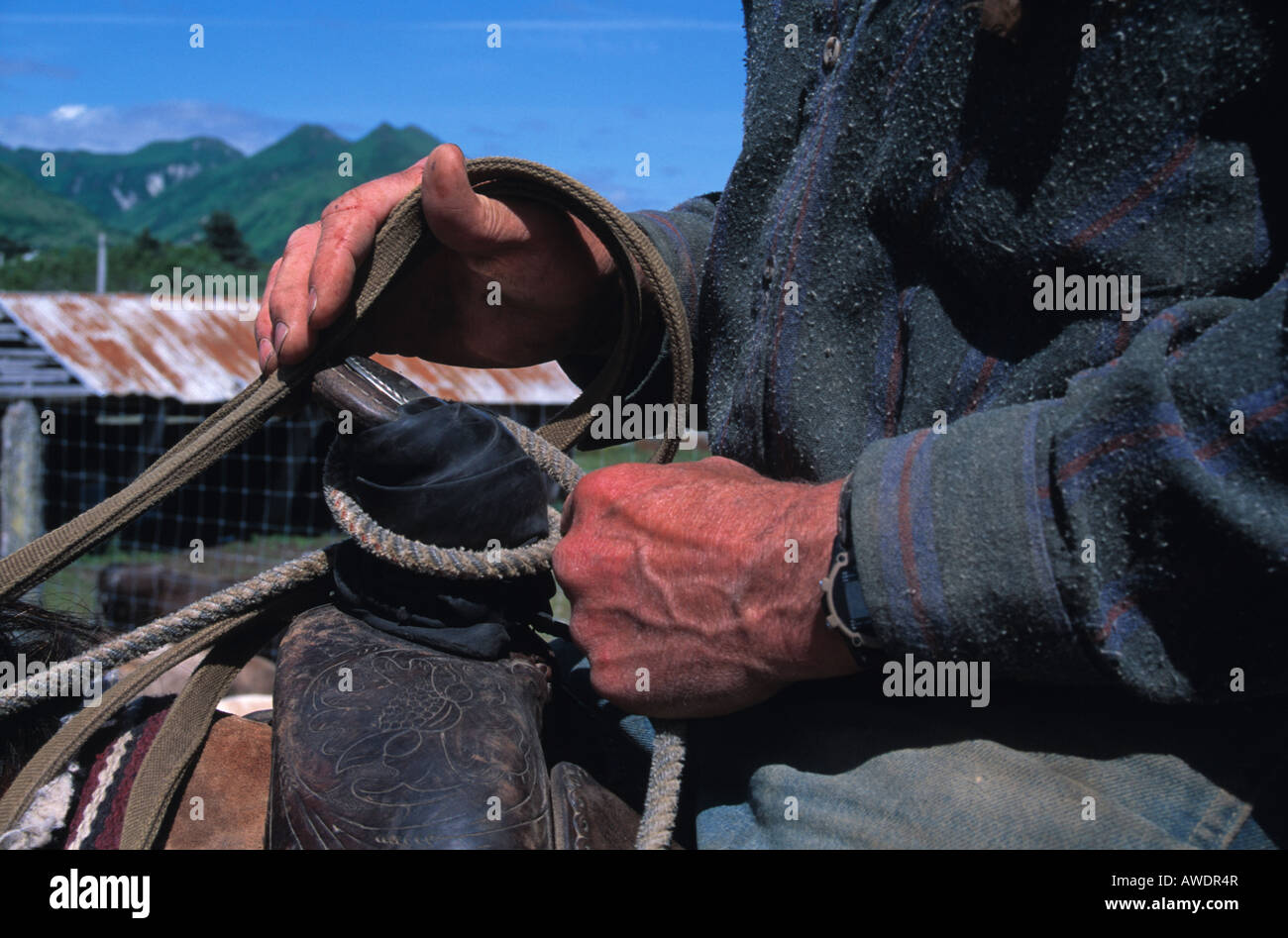 Cowboy on a horse, Kodiak Alaska Stock Photo Alamy