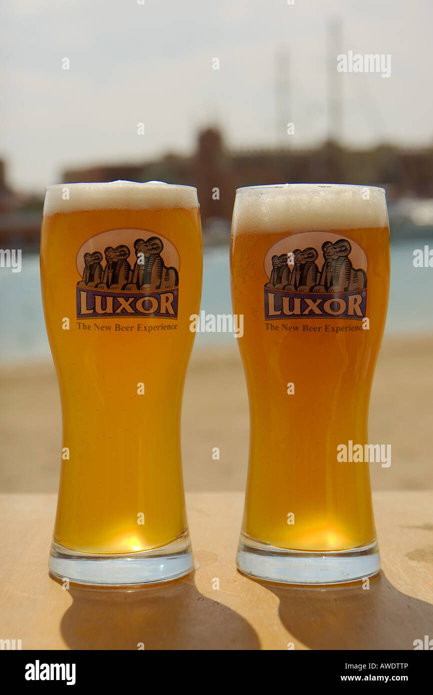 Two glasses of Luxor beer in El Gouna Egypt Stock Photo