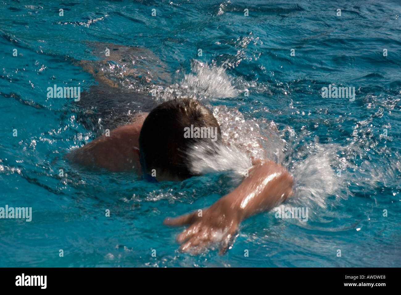 Boy swimming doing front crawl Stock Photo Alamy