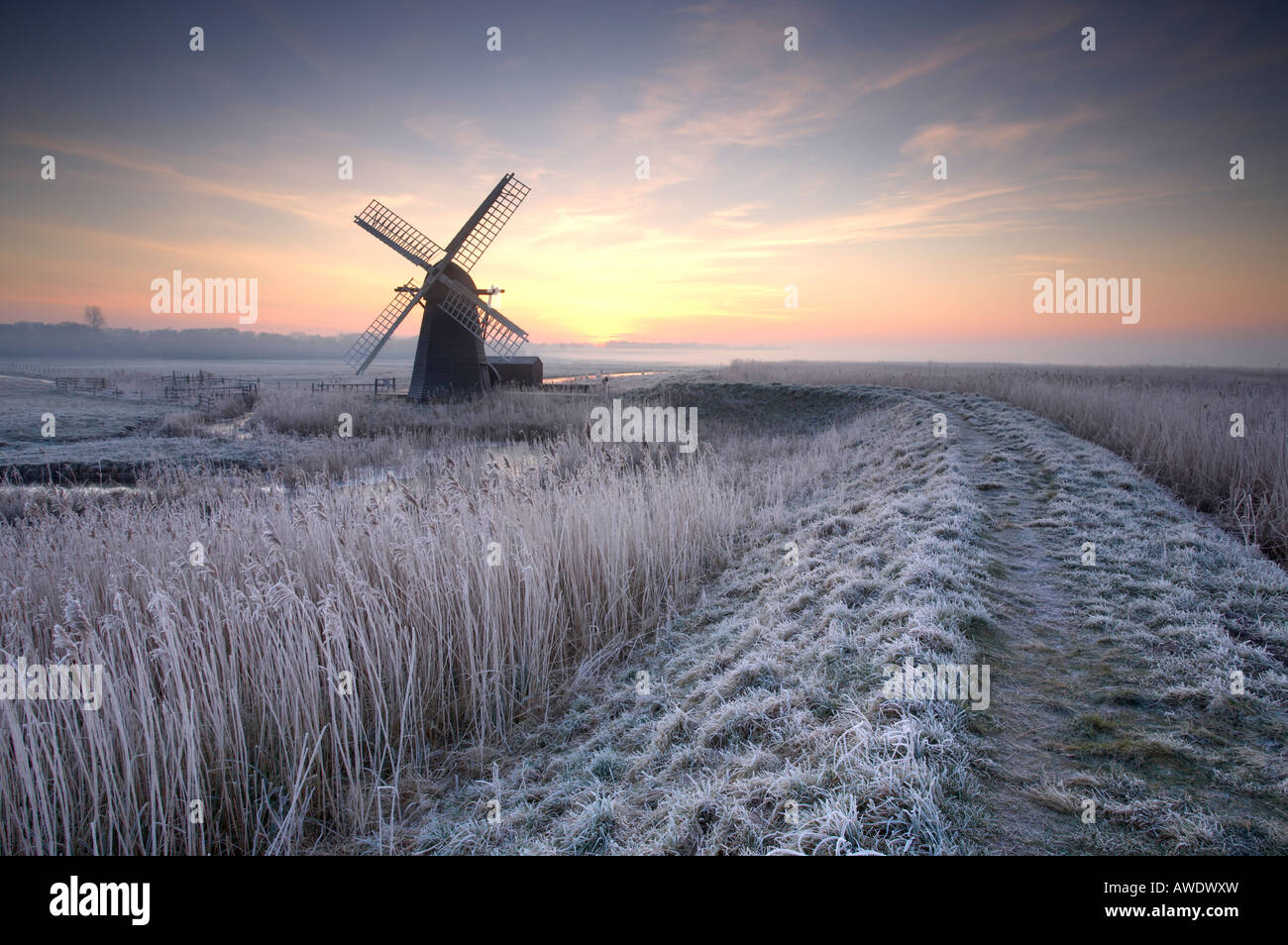 Cold Hoar Frosted sunrise at Herringfleet windmill on the Norfolk ...