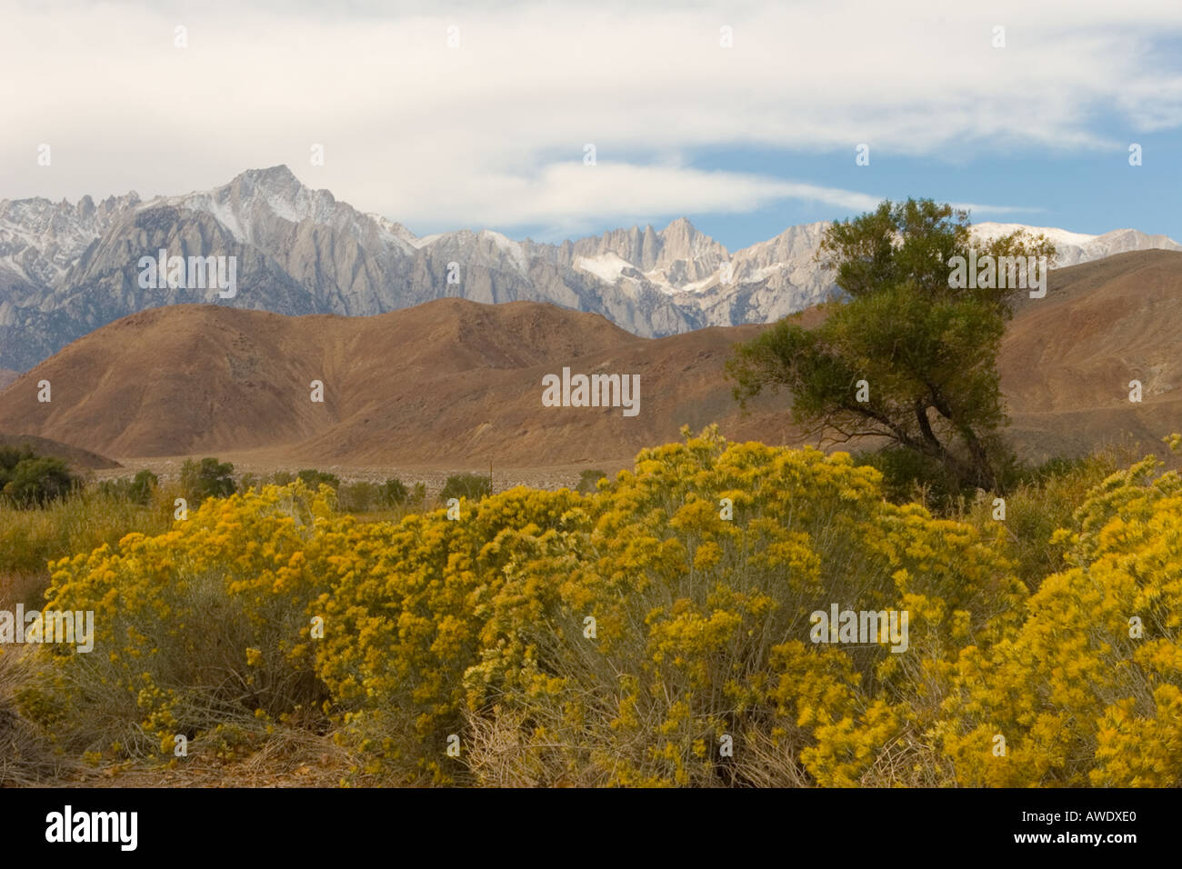 Mt. Whitney from the Owens Valley, California 03 Stock Photo Alamy