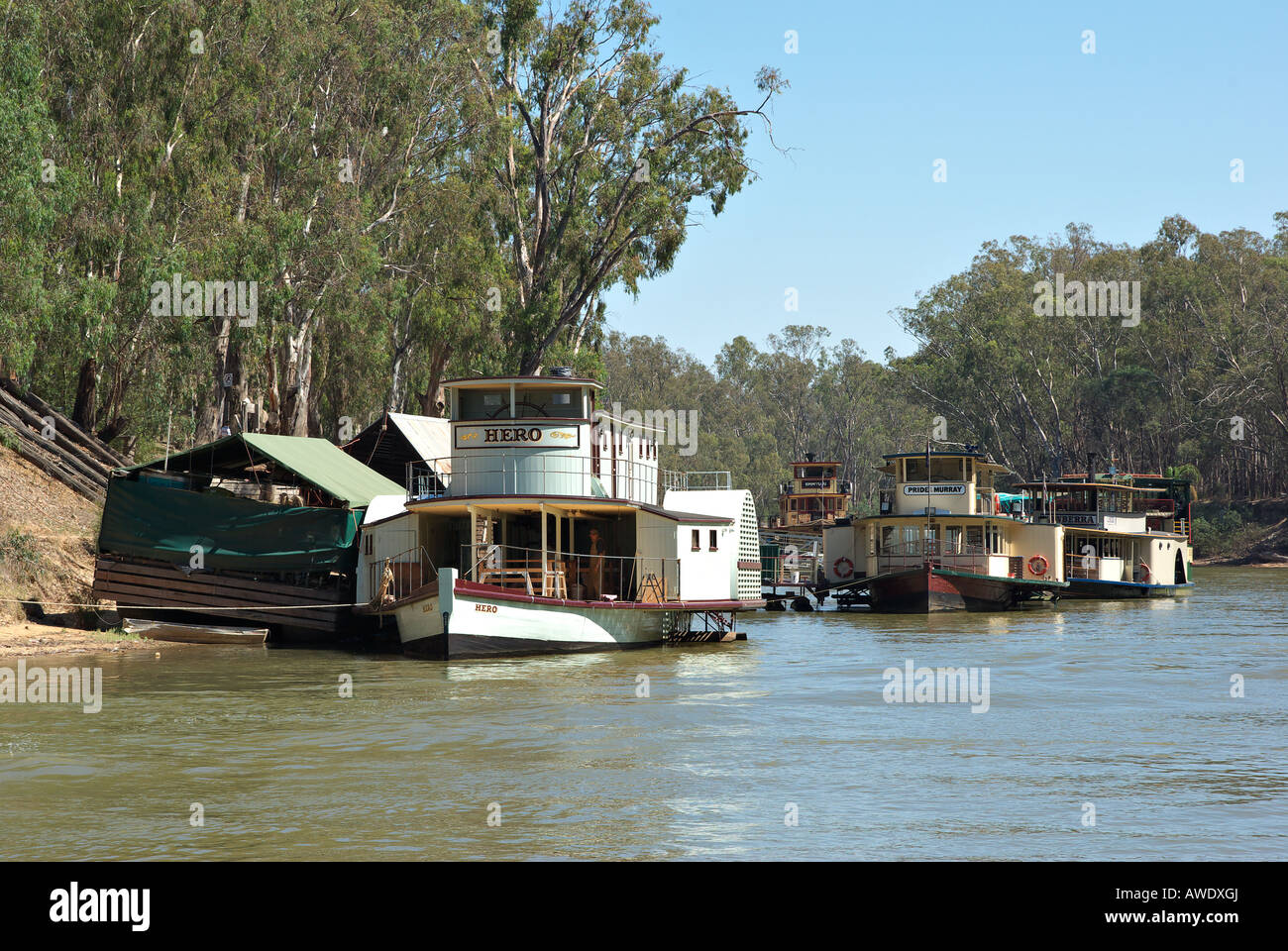 paddle steamers on the river murray at echuca Stock Photo
