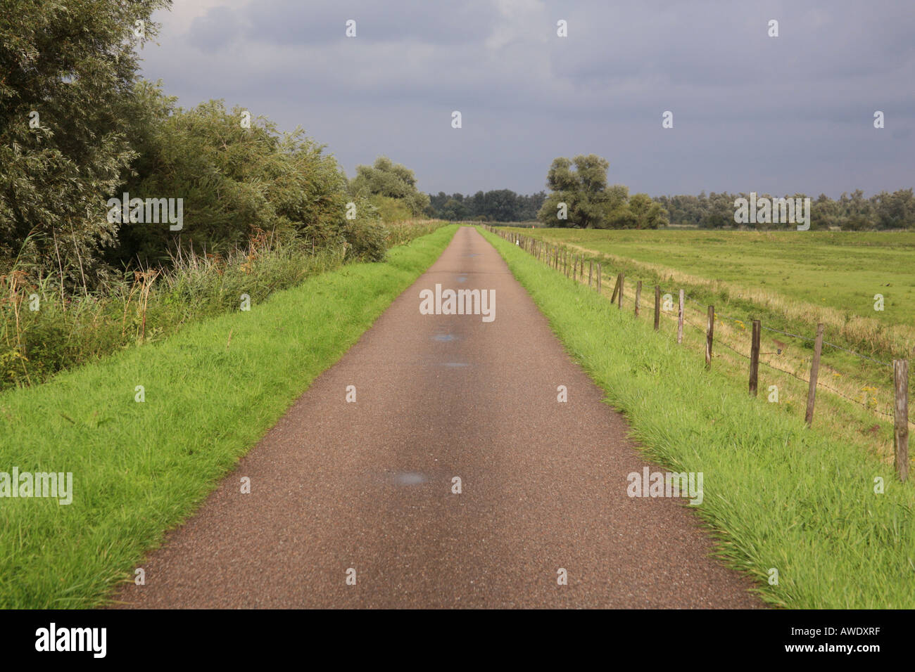 Straight road on a dike, disappearing to the horizon, Holland Stock