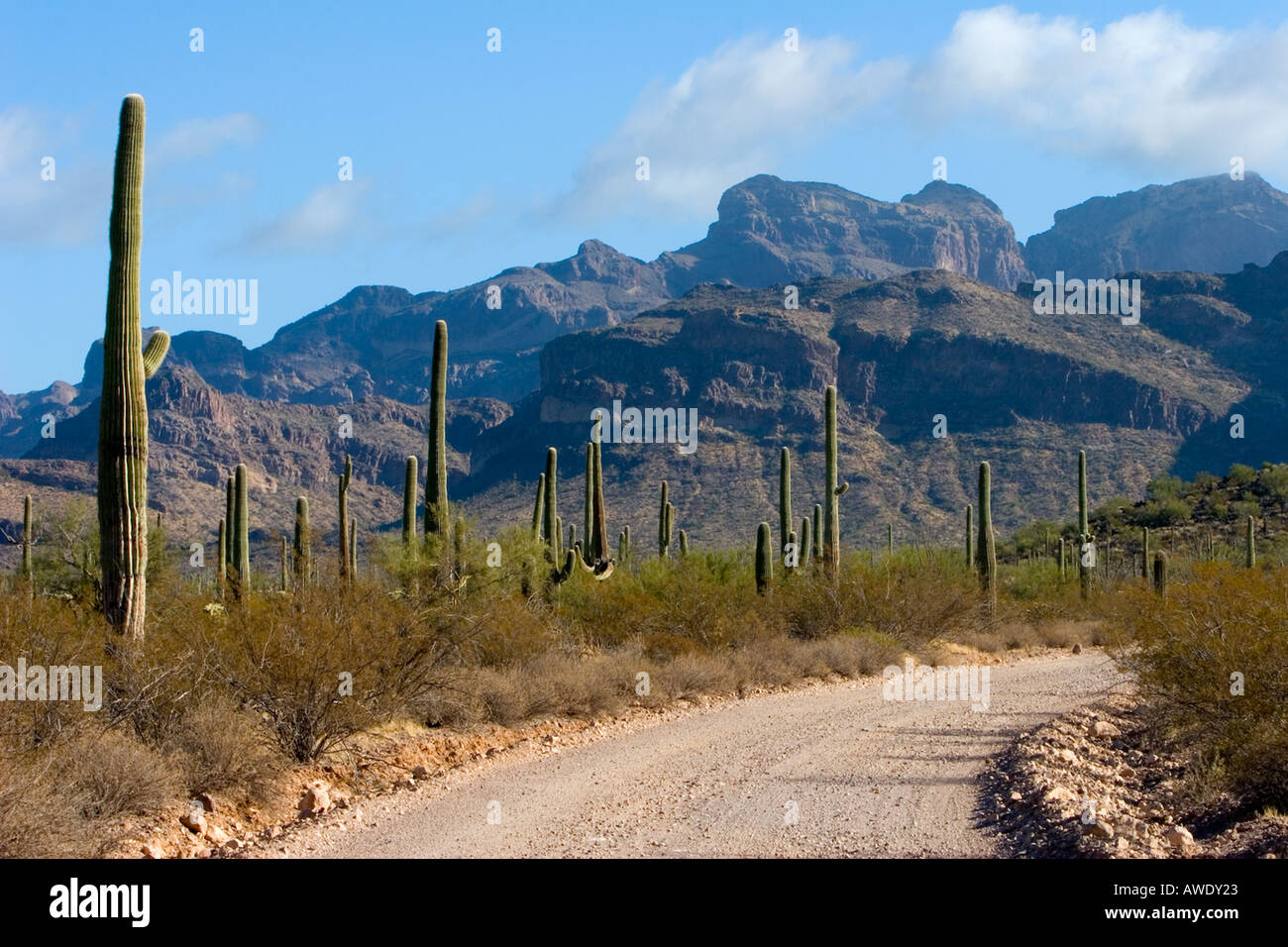 Graded dirt road hi-res stock photography and images - Alamy