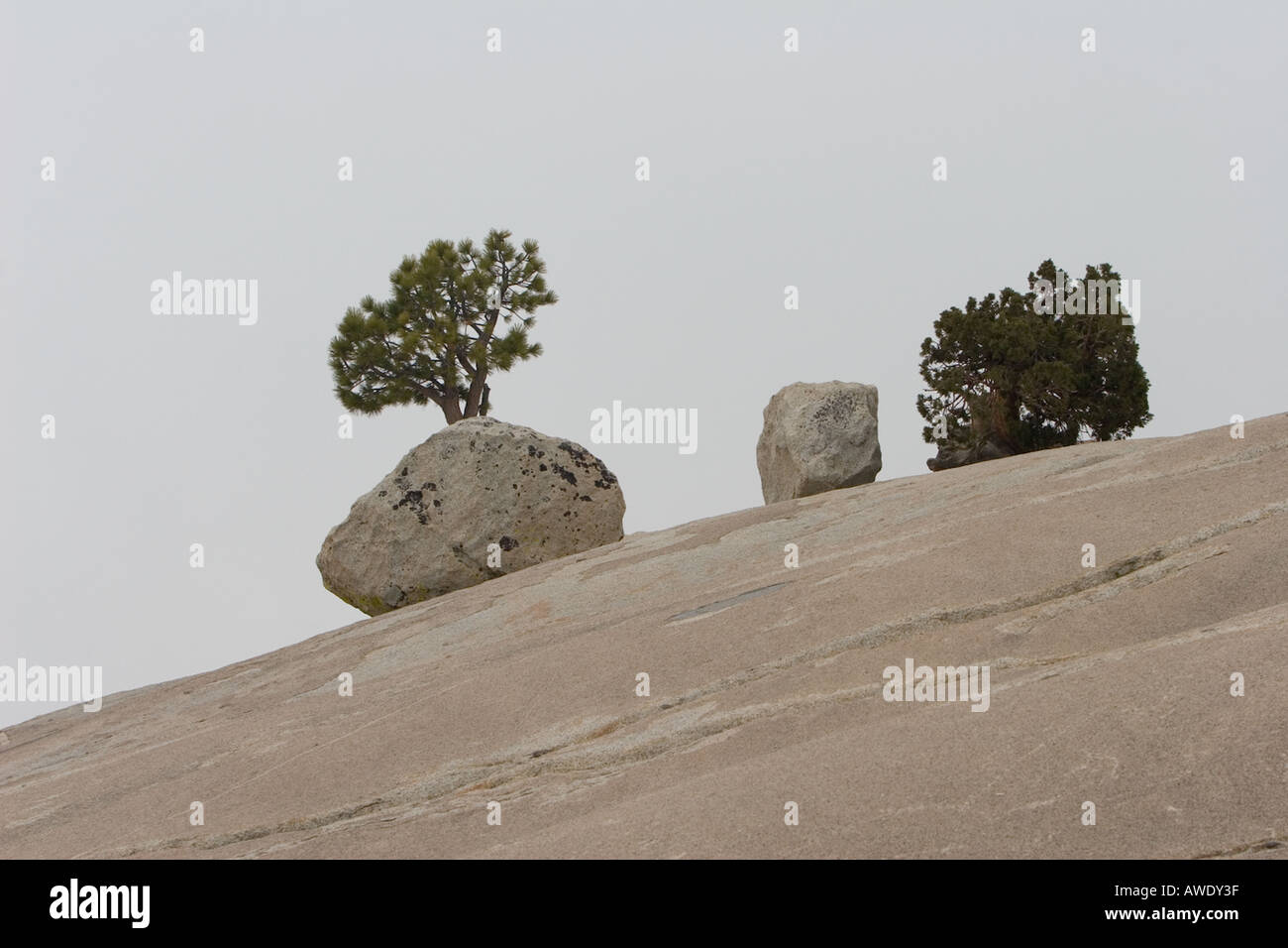 Boulders & Trees 5 Stock Photo - Alamy
