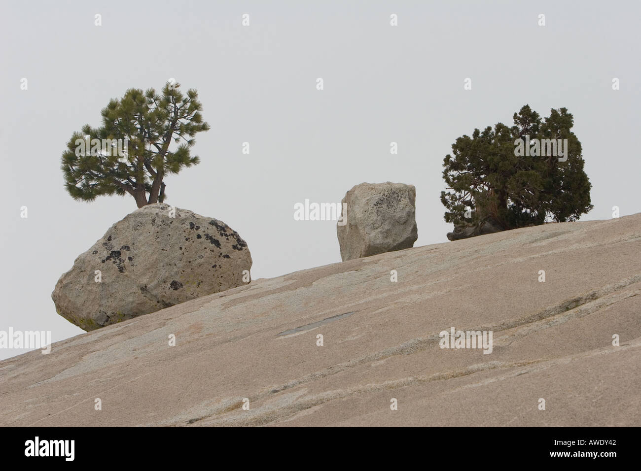 Boulders & Trees 3 Stock Photo - Alamy