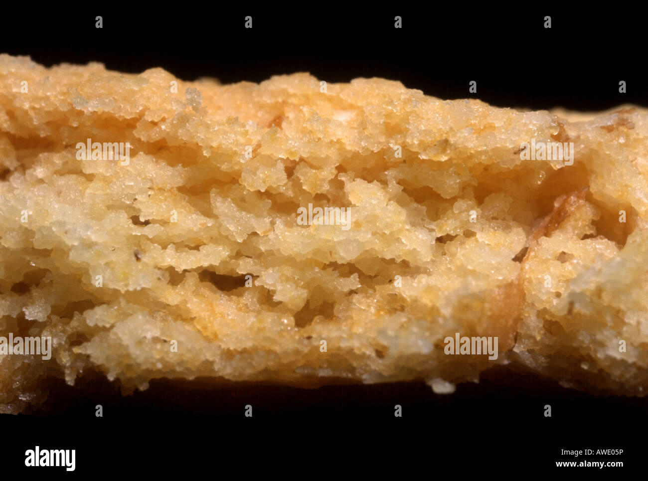 Cross section through a biscuit Stock Photo