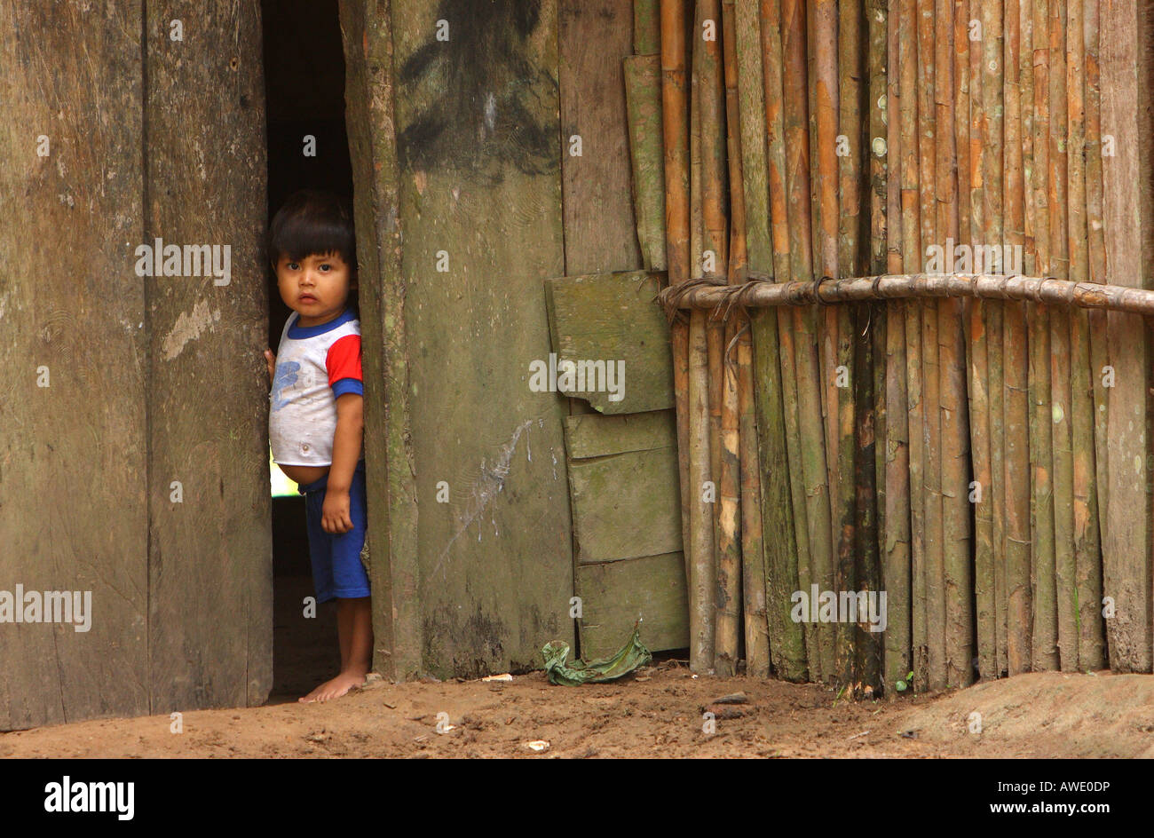 Boy building a hut in the forest hi-res stock photography and images - Alamy