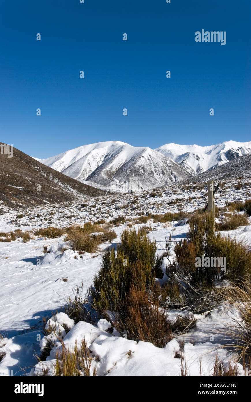 View of New Zealands Southern Alps from Porters Pass Stock Photo Alamy