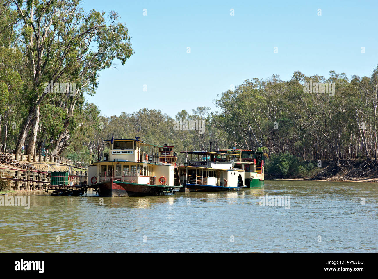 paddle steamers on the river murray at echuca Stock Photo