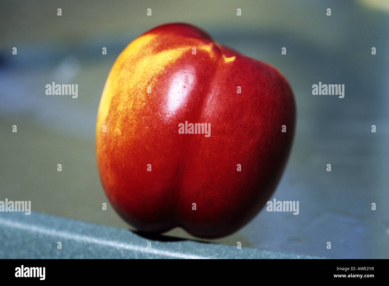 A peach: Prunus persica Stock Photo