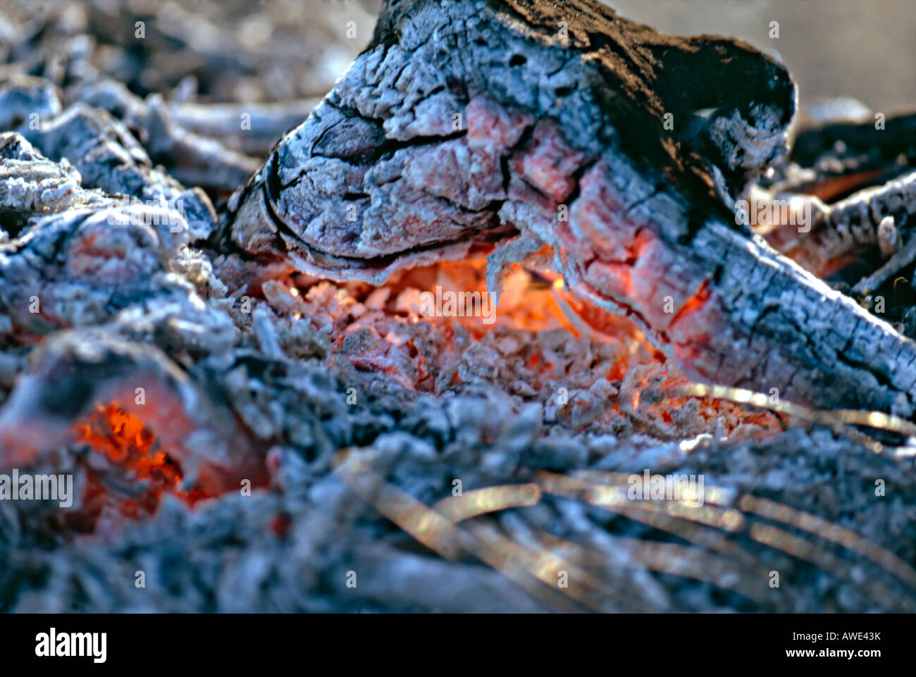 Log fire Stock Photo