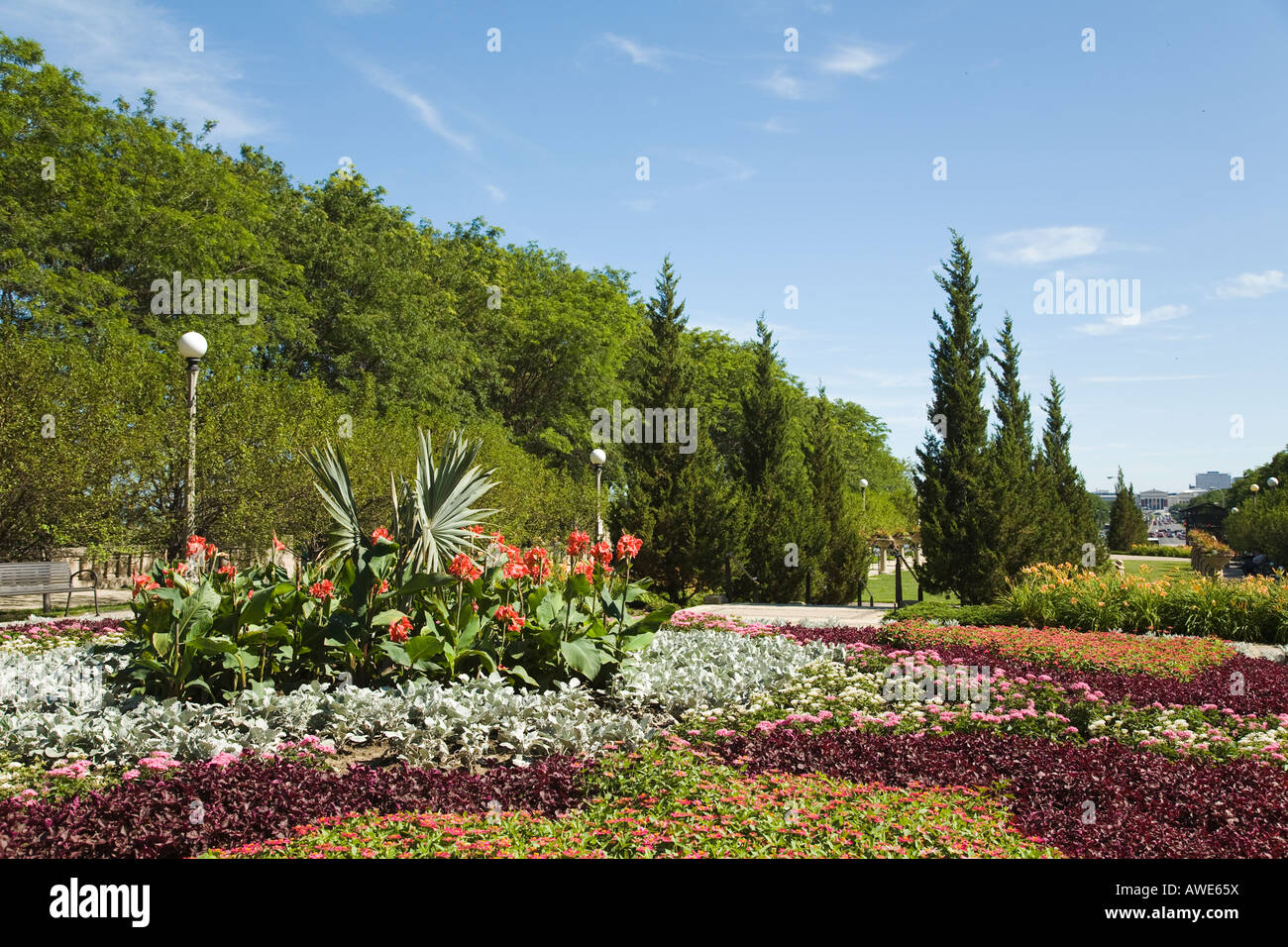 ILLINOIS Chicago Flowers blooming in Cancer Survivors Garden in Grant