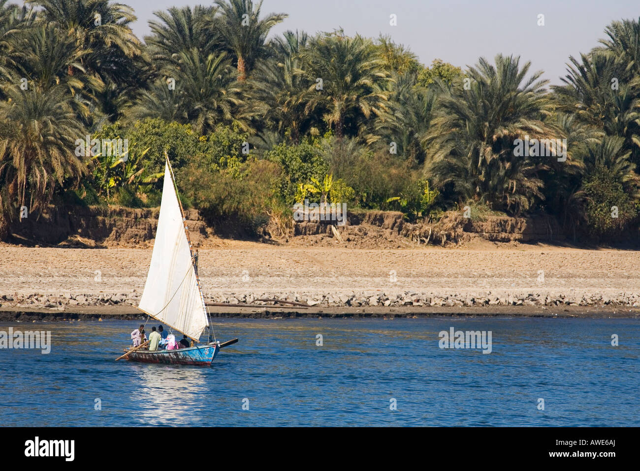 Felucca sailing on the River Nile on sunny day with blue sky Egypt North Africa Stock Photo