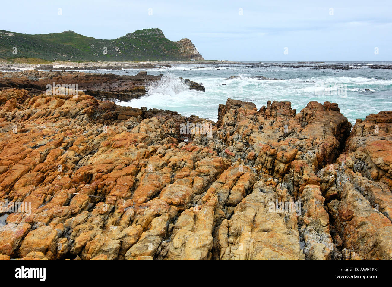 Coastal scenery at the Cape of Good Hope Cape Point Nature Reserve South Africa Stock Photo