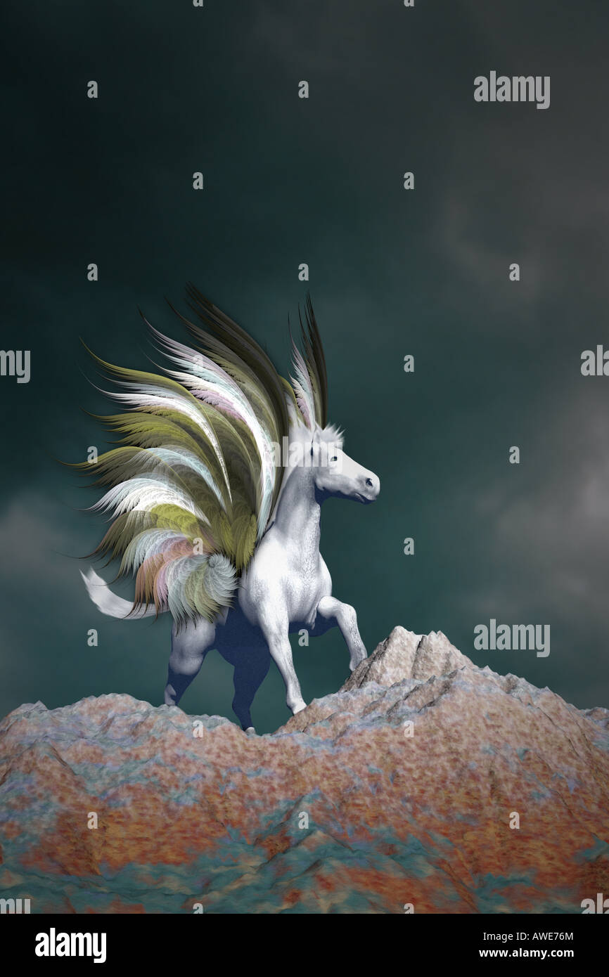 Pegasus Stock Photo