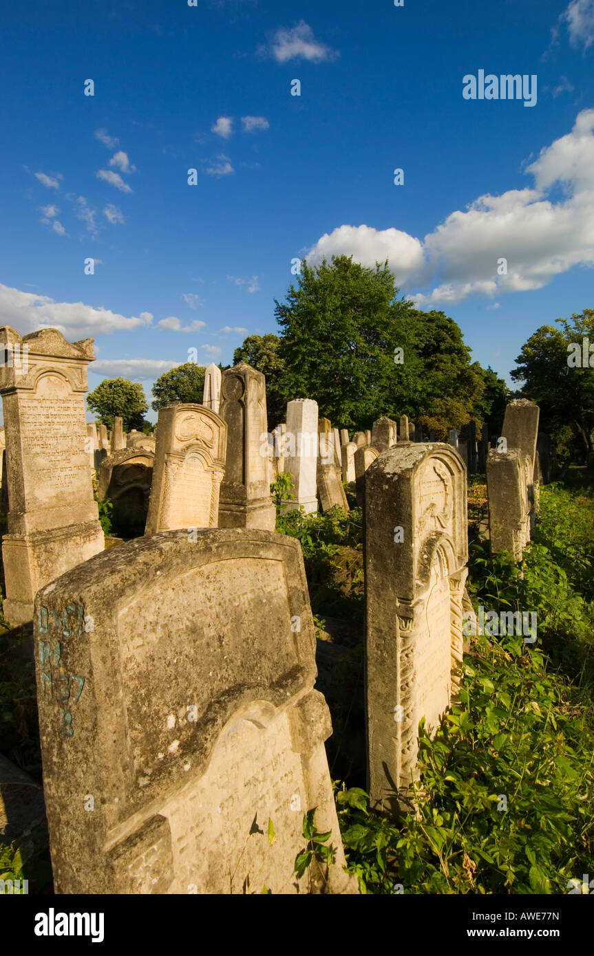 Europe Romania Moldavia Iasi Jewish Cemetery Stock Photo