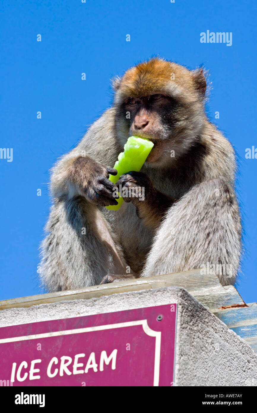 Upper Rock: Stealer Stock Photo - Alamy