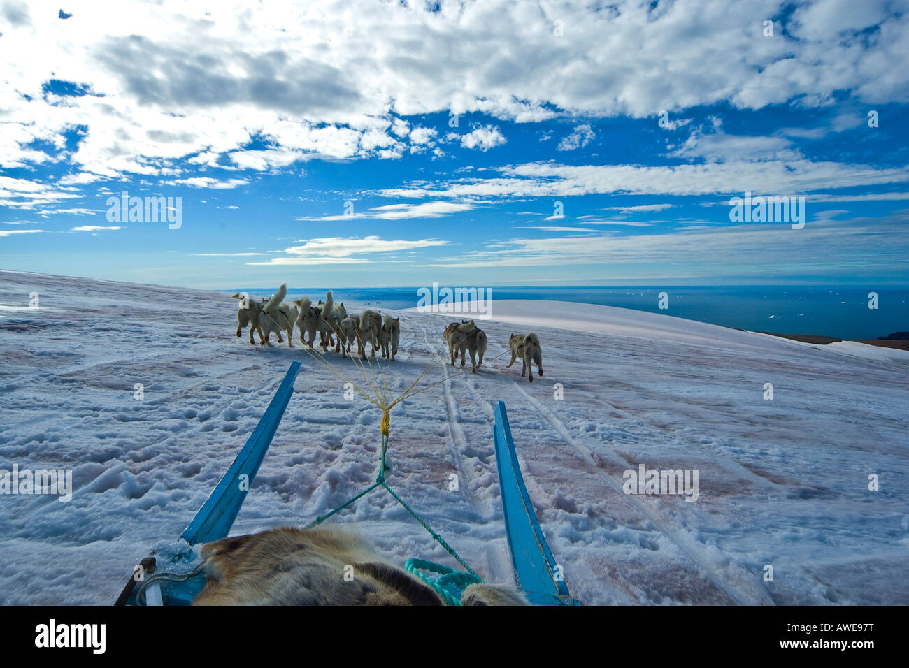 Dog sled team on Disko Island (Qeqertarsuatsiaq), Greenland, North Atlantic Stock Photo