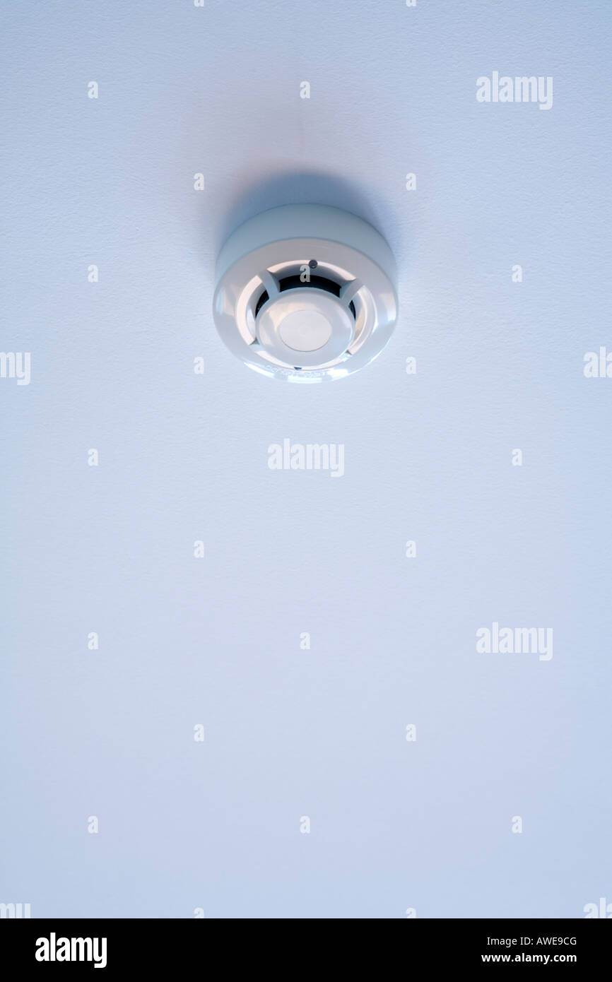 Fire alarm sensor on ceiling. ''Do Not Paint'' writing on its surface