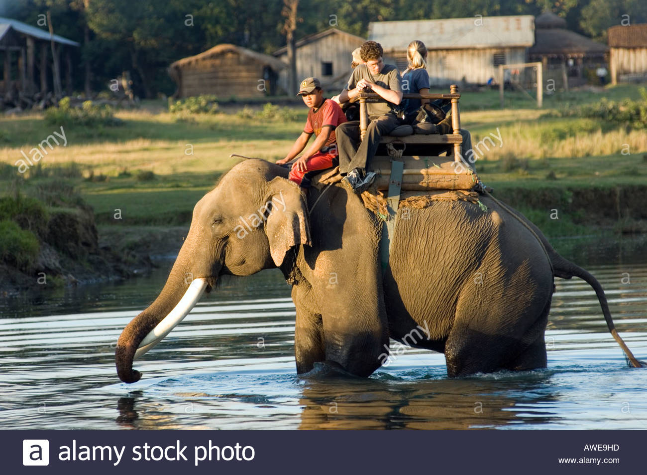 SAFARI tourists riding on an elephant back at Royal Chitwan National