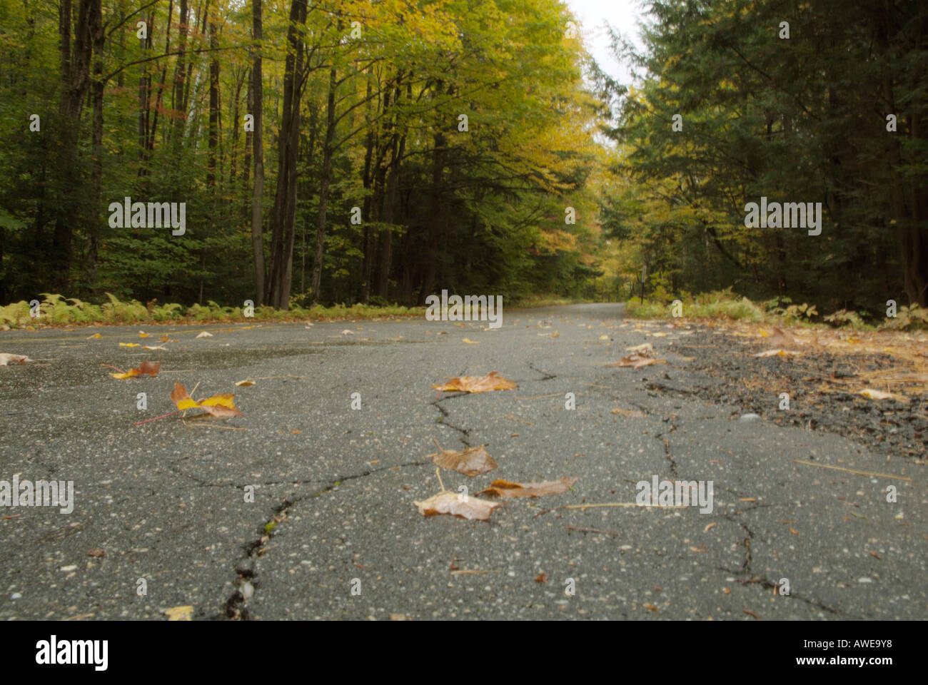 Tripoli Road in the White Mountain National Forest, New Hampshire USA