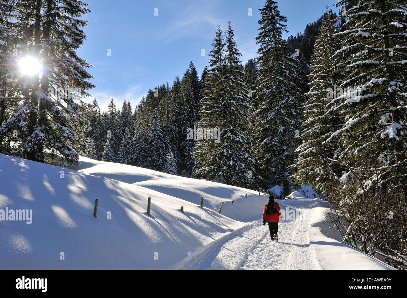 Winter in Kleinwalsertal, Austria, Europe Stock Photo