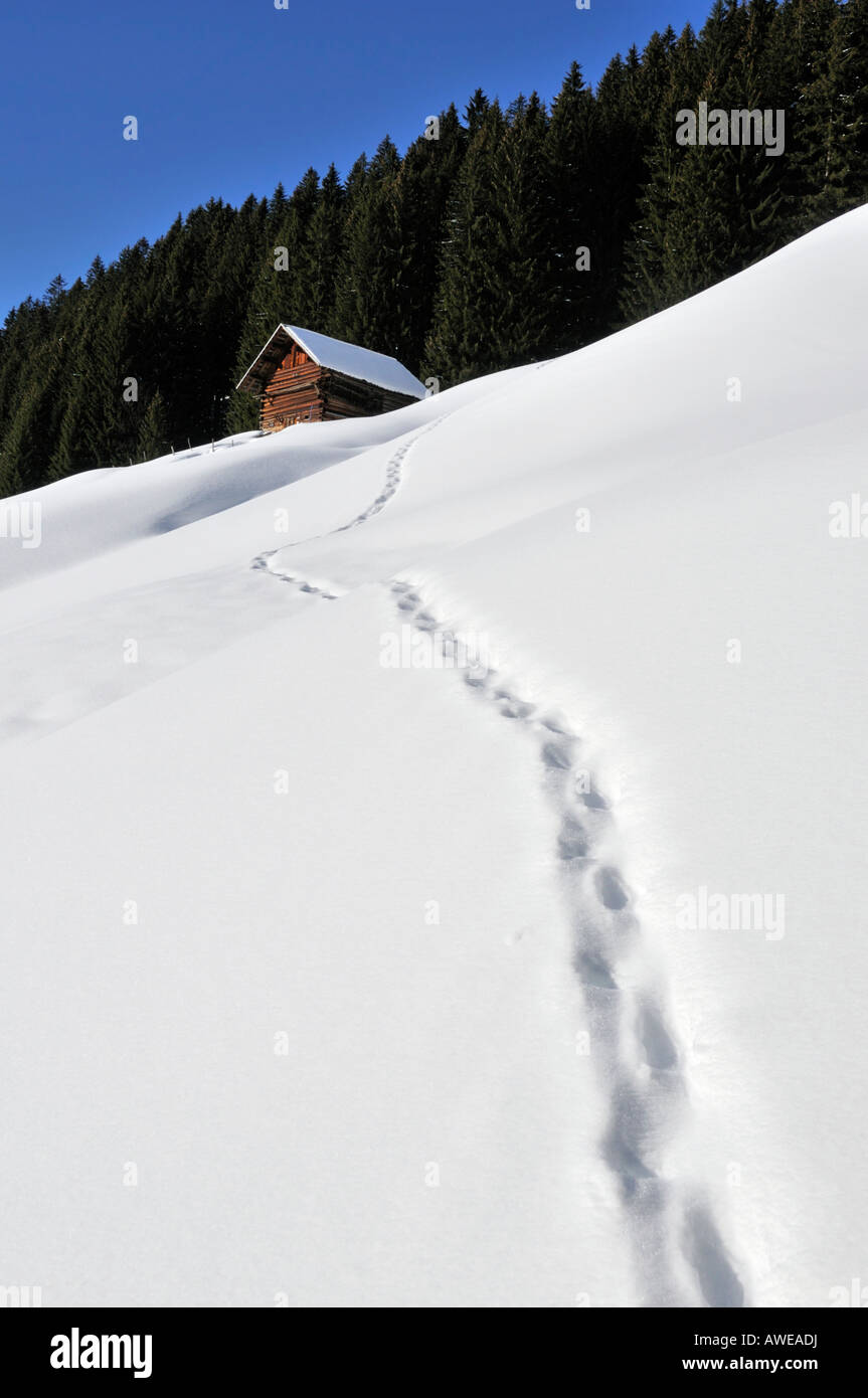 Footprints leading to a cottage, Baad, Kleinwalsertal, Austria, Europe Stock Photo