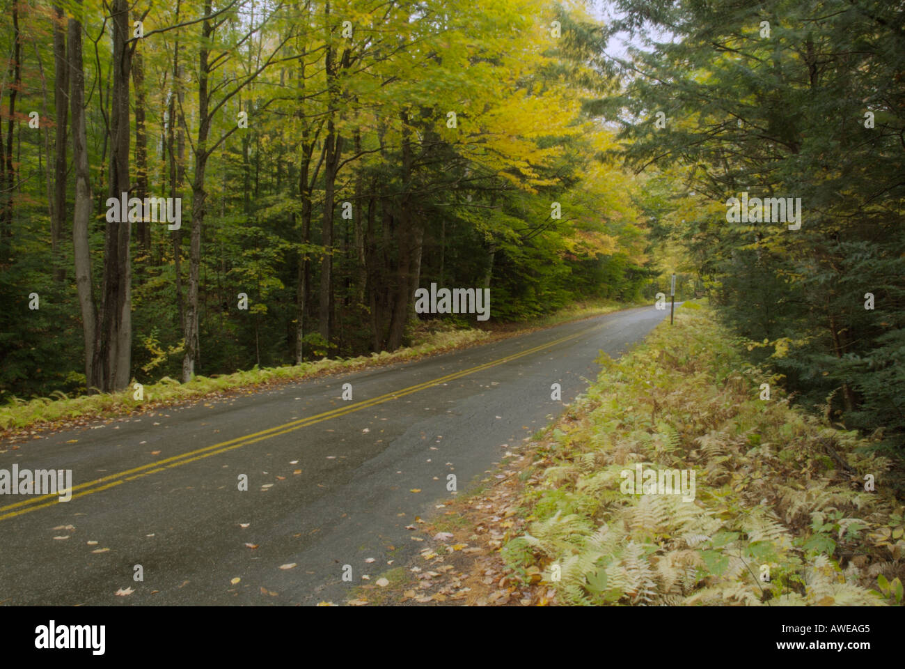 Tripoli Road in the White Mountain National Forest, New Hampshire USA