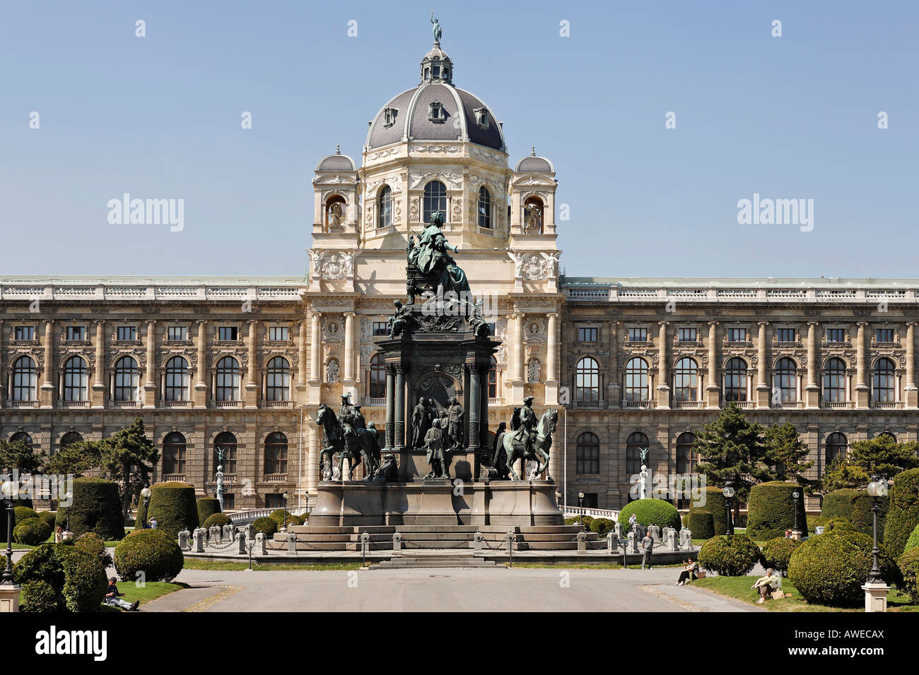 Vienne Black