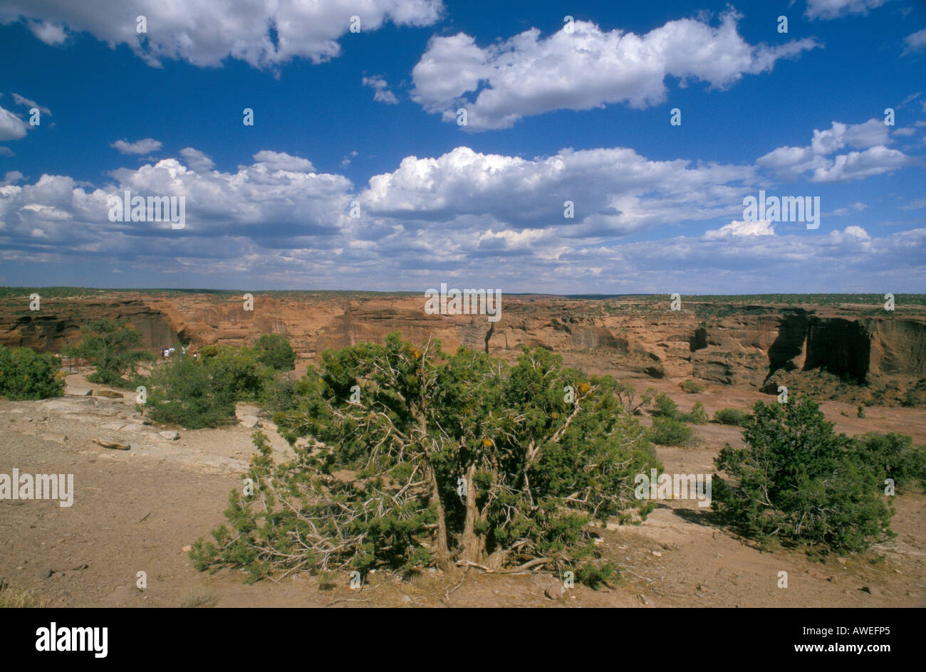 Canyon de Chelly The Four Corners Arizona USA Stock Photo Alamy