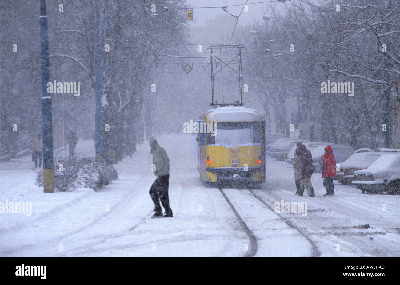 A tram in Bratislava Slovakia during heavy snow fall Stock Photo