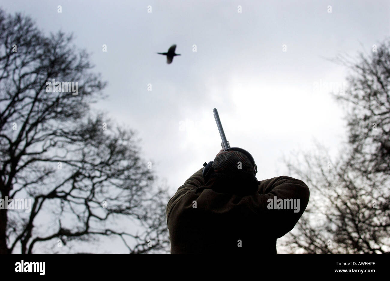 Follow through Stock Photo