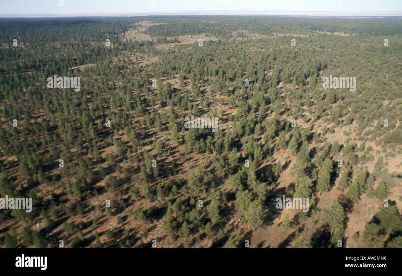Aerial view of the area surrounding the Grand Canyon, Arizona, USA Stock Photo