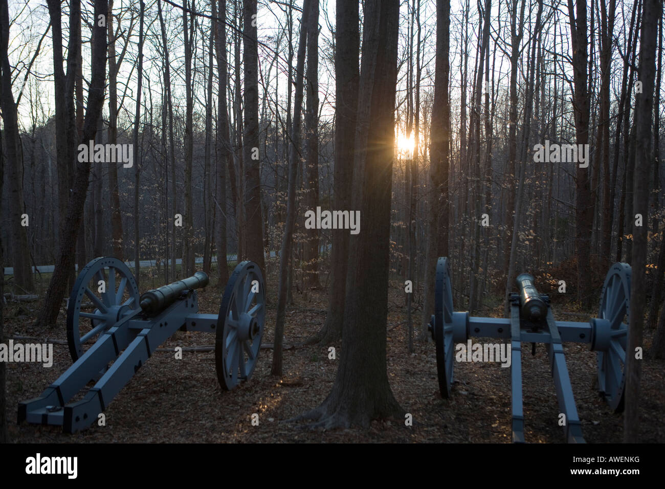 Revolutionary War artillery cannons sit in the woods of Guilford Courthouse National Military Park, near Greensboro, NC Stock Photo