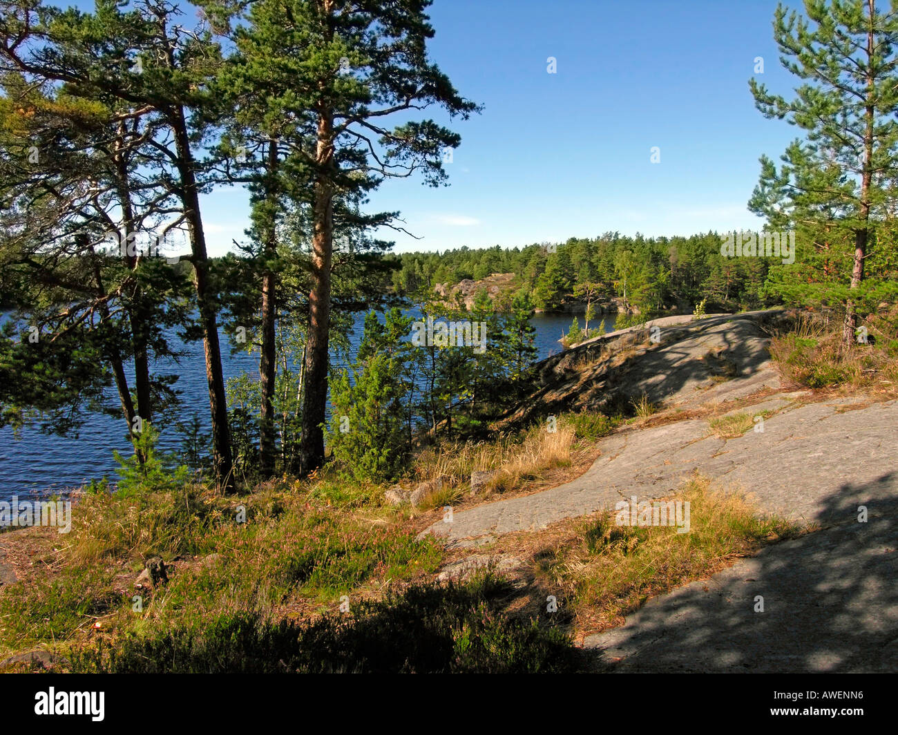 lake in forest in southern coast of Finland on the island Kemio Kimito in Taalintehdas Dalsbruk Stock Photo