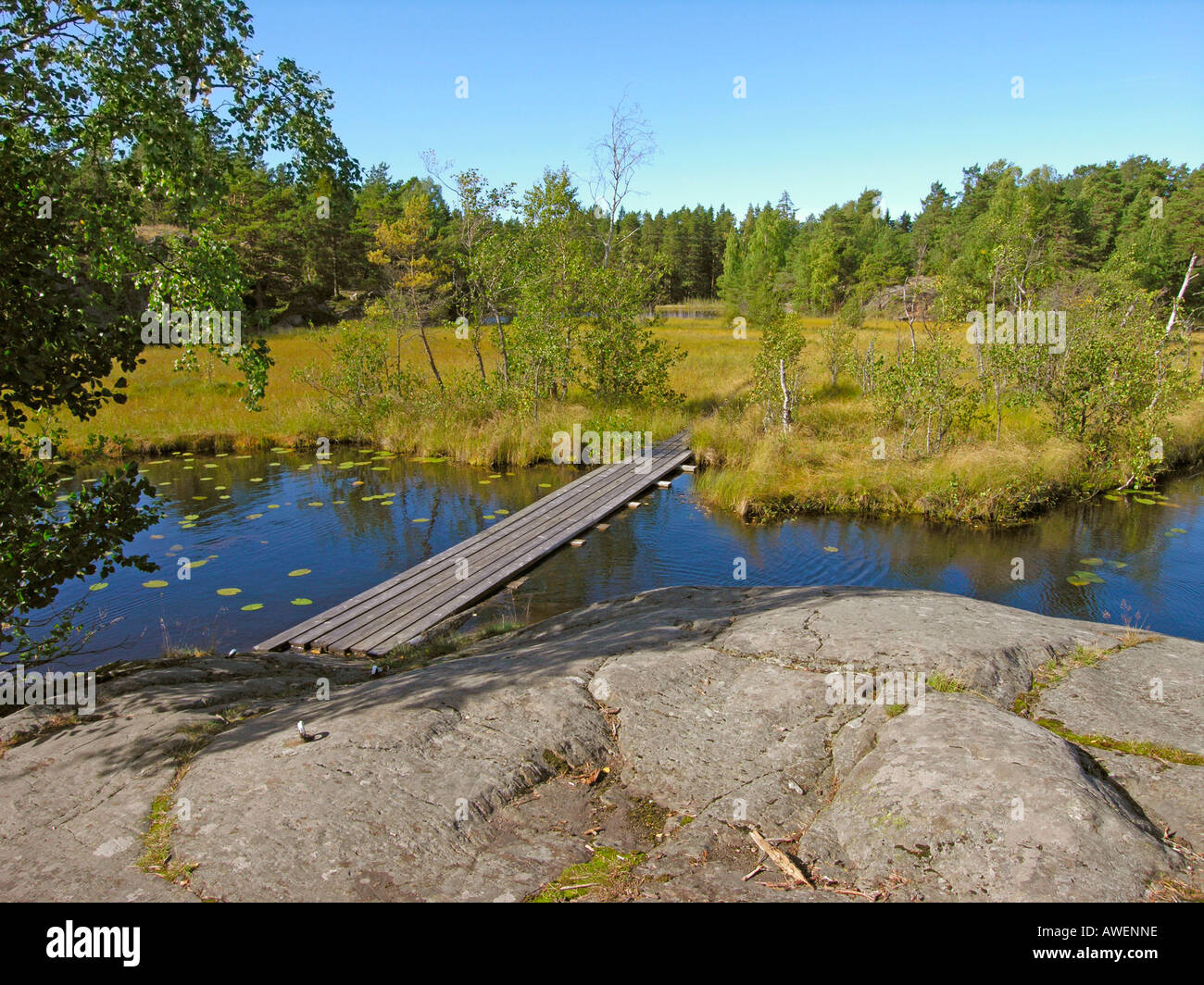 moor and lake in forest in southern coast of Finland on the island Kemio Kimito in Taalintehdas Dalsbruk Stock Photo