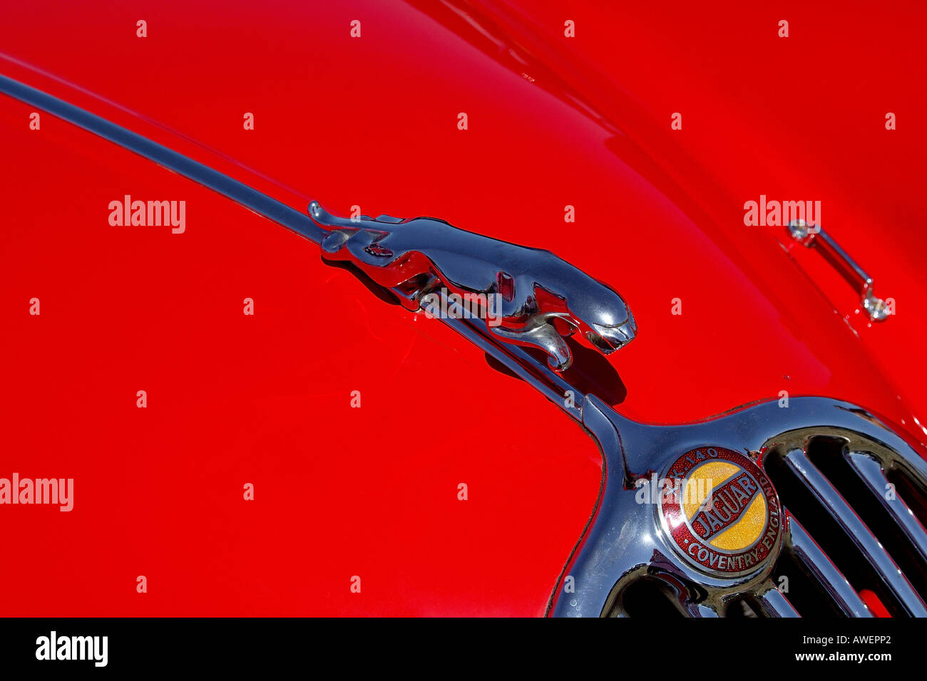Abstract image of front bonnet and grill of classic Jaguar XK 140 in bright red with jaguar hood ornament Stock Photo