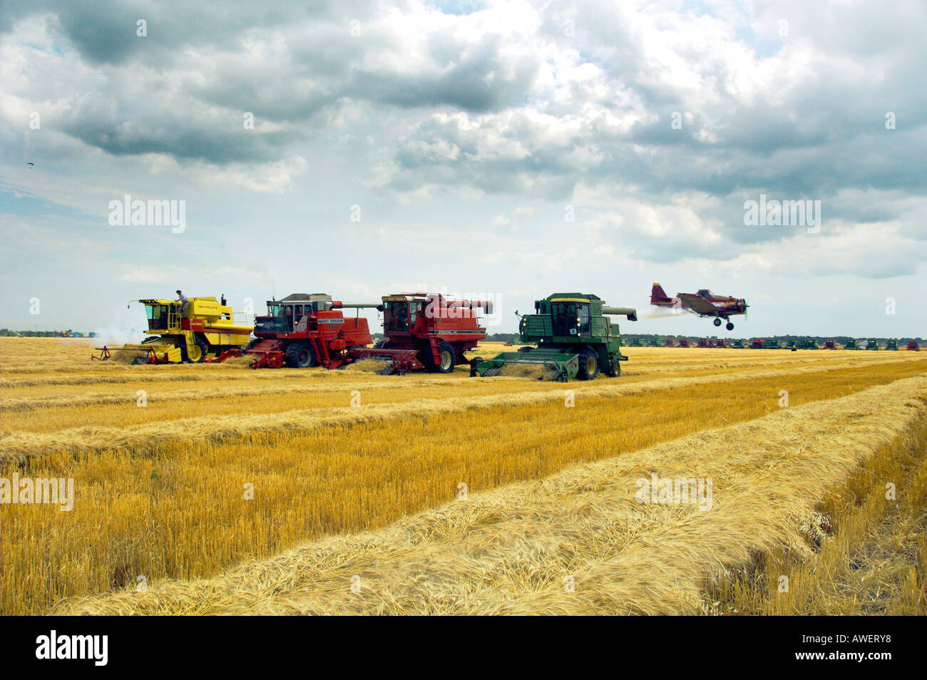 Multiple grain harvesting combines at the World Harvest for Kids event in Winkler Manitoba Canada Stock Photo