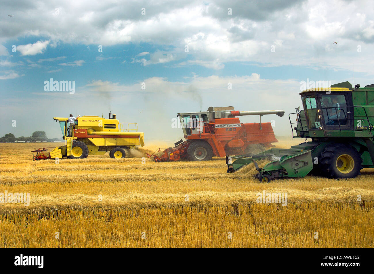 Multiple grain harvesting combines at the World Harvest for Kids event in Winkler Manitoba Canada Stock Photo