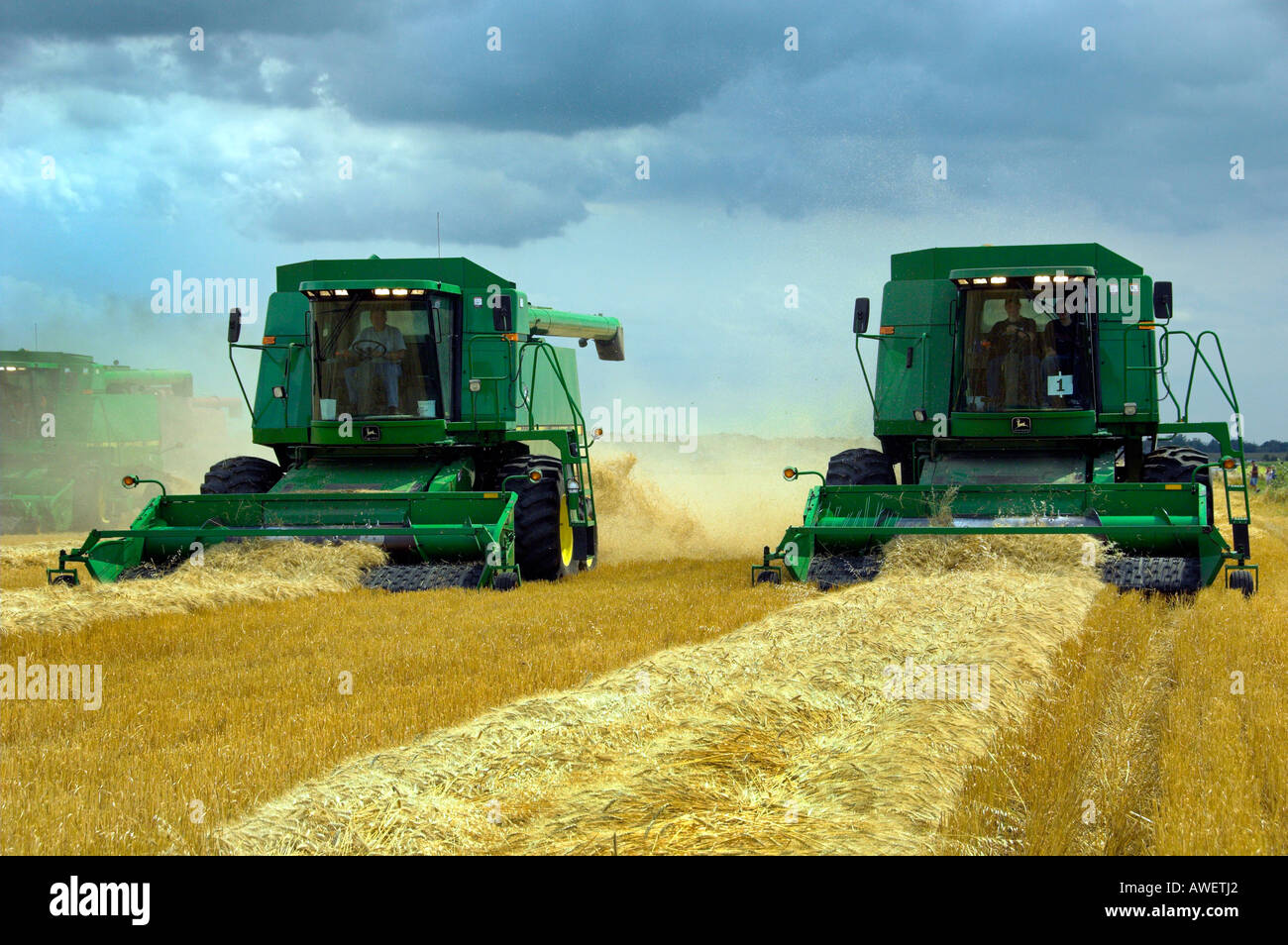 Multiple grain harvesting combines at the World Harvest for Kids event in Winkler Manitoba Canada Stock Photo