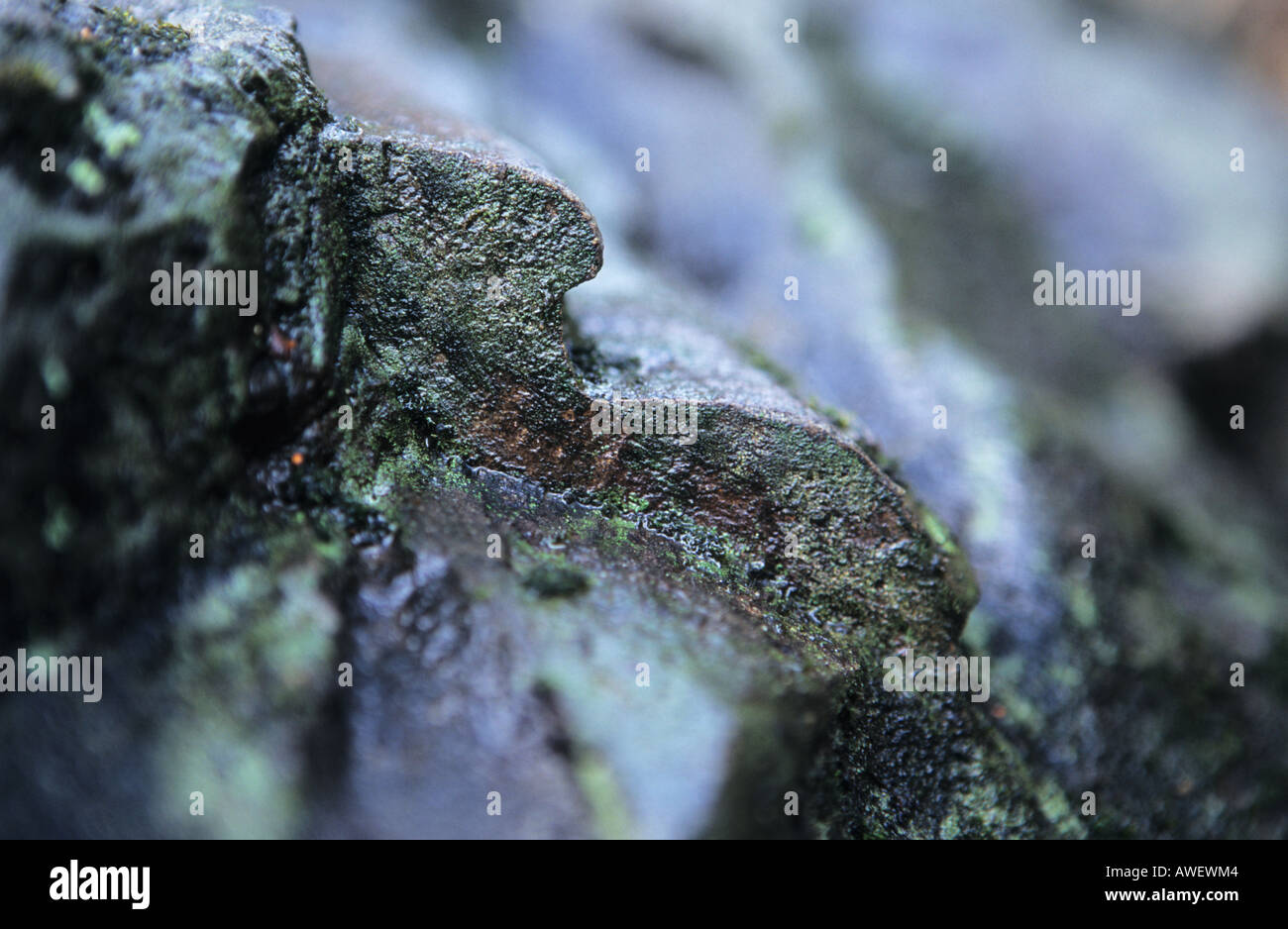 Piece of unusual gneiss type rock in extreme closeup, seems like roads submerged or diffused into the rock Stock Photo