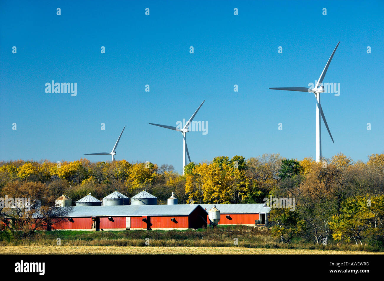 Red Barn Windmill Farm Near Stock Photos Red Barn Windmill Farm