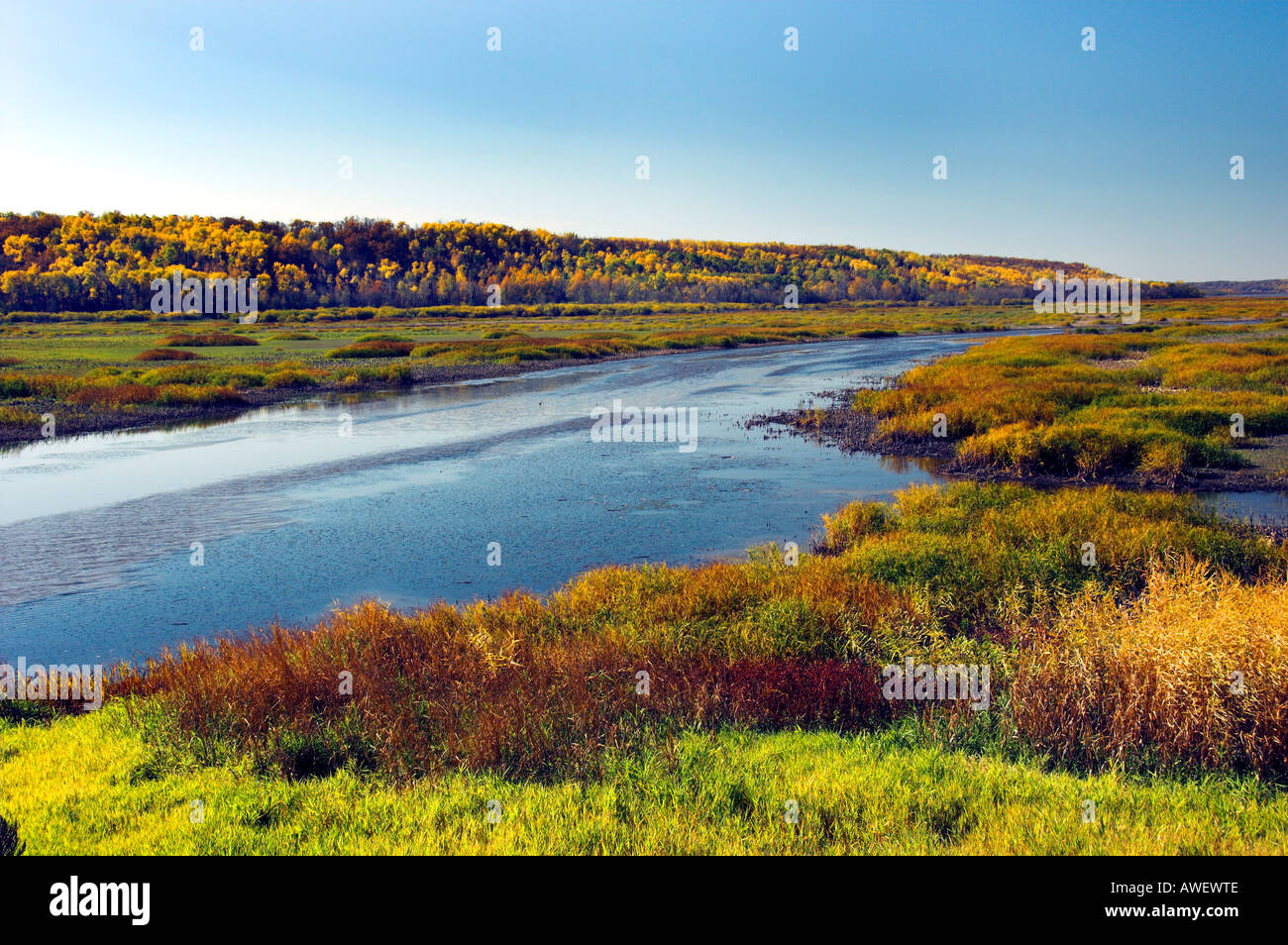 Fall foliage color and the Pembina River near Snow Lake, Manitoba