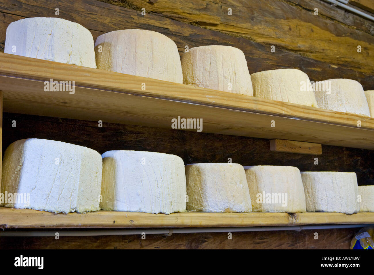 Cheese storage, Draugsteinalm (Draugstein mountain pasture), Grossarltal (Grossarl Valley), Salzburg, Austria, Europe Stock Photo