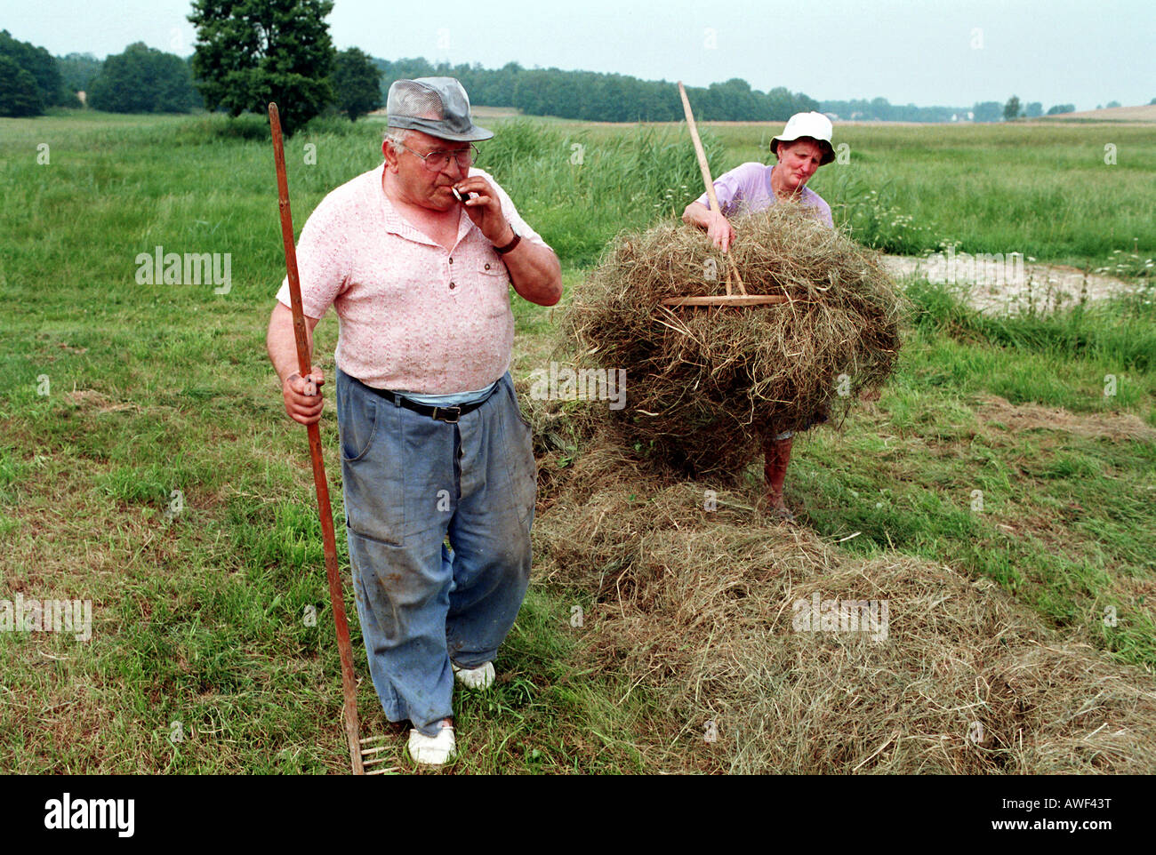 Farmers during hay harvest, Kotulin, Poland Stock Photo Alamy